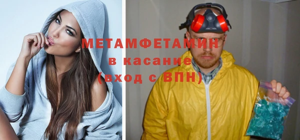 прущие грибы Верея