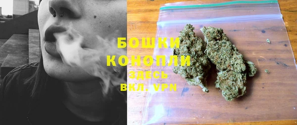 крисы Тихвин