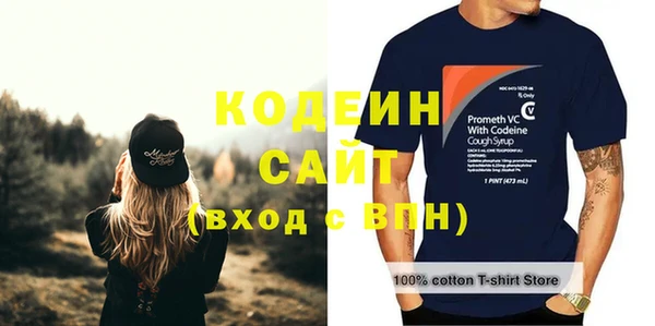 шишки Вяземский