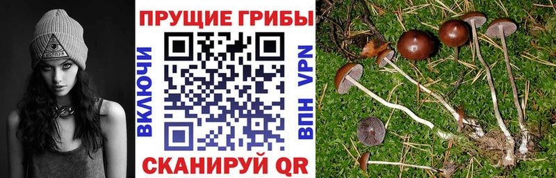 Псилоцибиновые грибы мухоморы  Инсар 